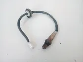Lambdasonde Regelsonde