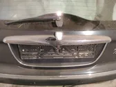 Trunk door license plate light bar