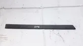 Rear door trim (molding)