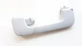 Rear interior roof grab handle