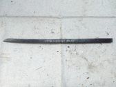Listón embellecedor de la puerta delantera (moldura)