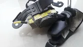 Cinturón trasero