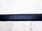 Front door trim (molding)