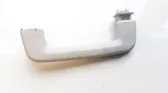 Front interior roof grab handle