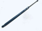 Tailgate/trunk strut/damper