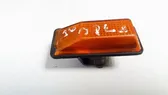 Front fender indicator light