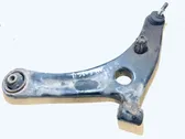 Front lower control arm/wishbone