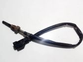 Abgastemperatursensor