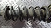 Front coil spring