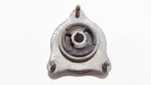 Coil spring mount