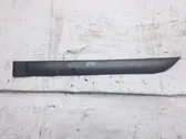 Listón embellecedor de la puerta delantera (moldura)