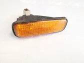 Front fender indicator light