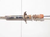Stoßdämpfer hinten