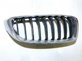 Atrapa chłodnicy / Grill