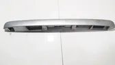 Trunk door license plate light bar