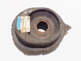 Coil spring mount