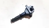 High voltage ignition coil