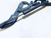 Tailgate/trunk strut/damper