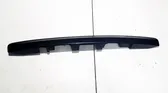 Trunk door license plate light bar