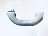 Front interior roof grab handle