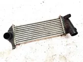 Radiatore intercooler