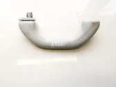 Front interior roof grab handle