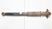 Rear shock absorber/damper