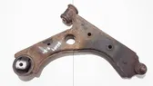 Front lower control arm/wishbone