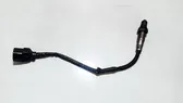 Sonde lambda