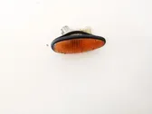 Front fender indicator light