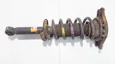 Rear shock absorber/damper