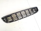 Front bumper lower grill