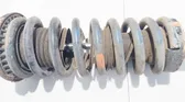 Rear coil spring