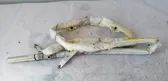 Airbag del techo