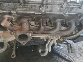 Exhaust manifold