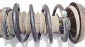 Front coil spring