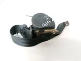 Cinturón trasero
