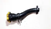 Turbo turbocharger oiling pipe/hose