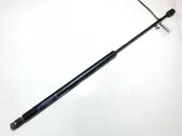 Tailgate/trunk strut/damper