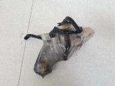 Depósito/tanque del líquido limpiaparabrisas