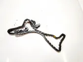 Timing chain (engine)