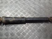 Stoßdämpfer hinten