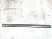 Listón embellecedor de la puerta delantera (moldura)