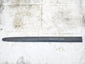Listón embellecedor de la puerta delantera (moldura)