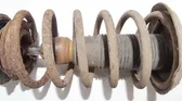 Front coil spring