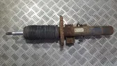 Front shock absorber/damper