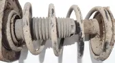 Front coil spring