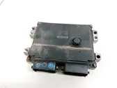 Calculateur moteur ECU