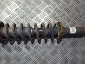 Stoßdämpfer hinten