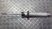 Rear shock absorber/damper